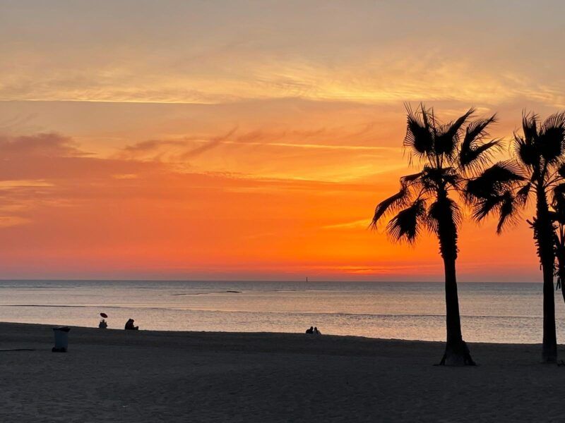 sunset